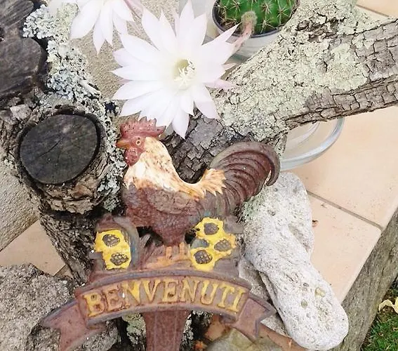 Il Melograno 4* Arzachena