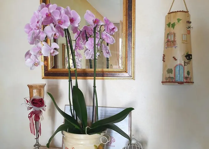 Il Melograno 4* Arzachena