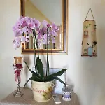 Il Melograno 4* أرتْساكينا