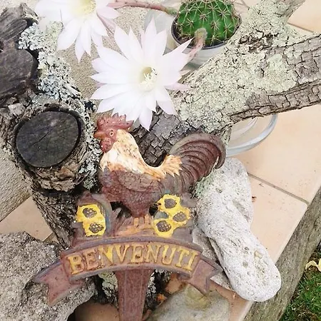 Il Melograno 4* 아르자케나