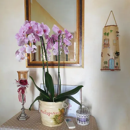 Il Melograno 4* 아르자케나